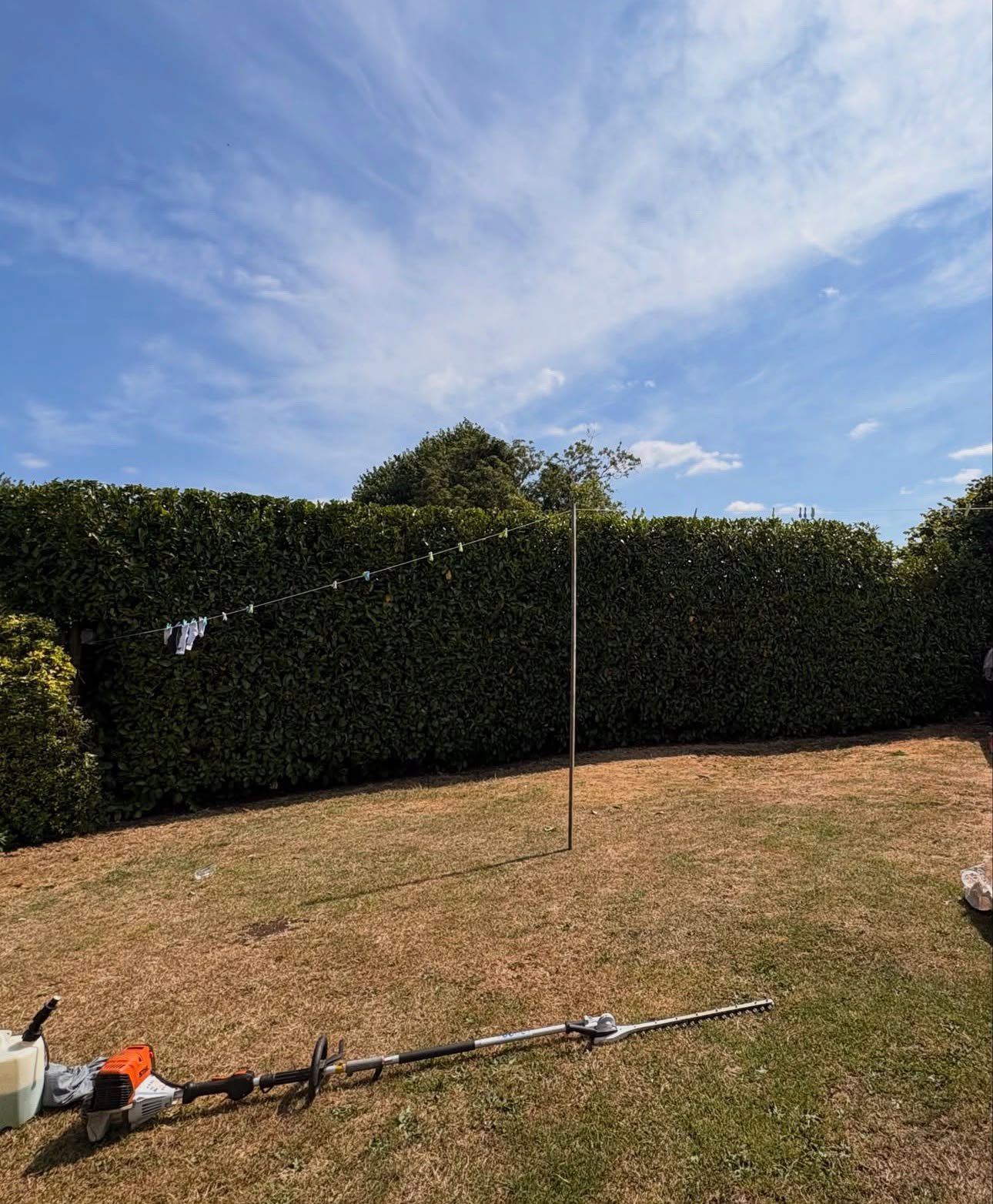 Neatly trimmed tall hedge with a long-reach hedge cutter resting on the lawn