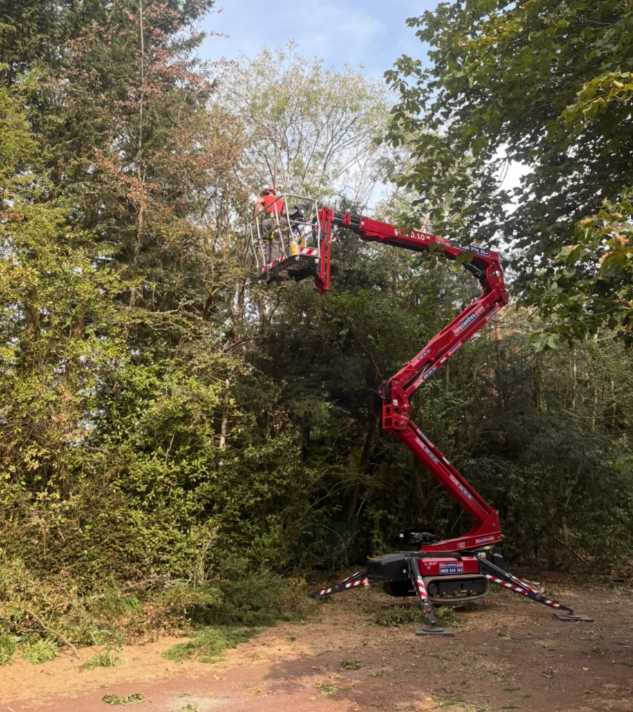 Tree Trooperz tree surgeon working from a red elevated access platform